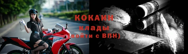 бошки Мегион