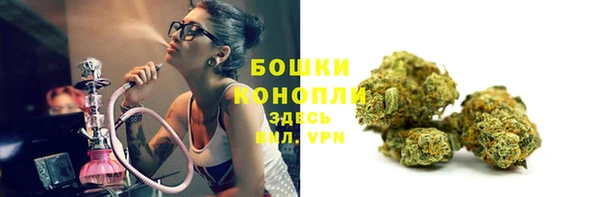 бошки Мегион