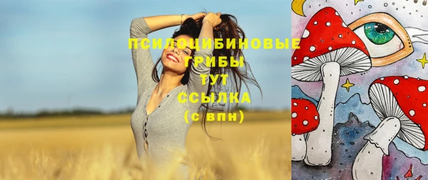 герыч Медвежьегорск