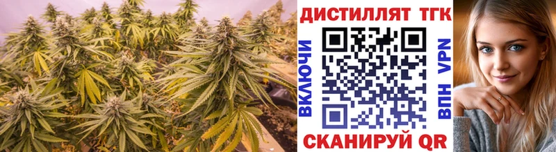 OMG ТОР  Орёл  Дистиллят ТГК THC oil 