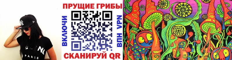Псилоцибиновые грибы Magic Shrooms  кракен ТОР  Орёл  закладки 